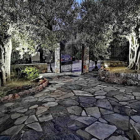 Elaion Thea-Nies Villa Sourpi Exteriör bild