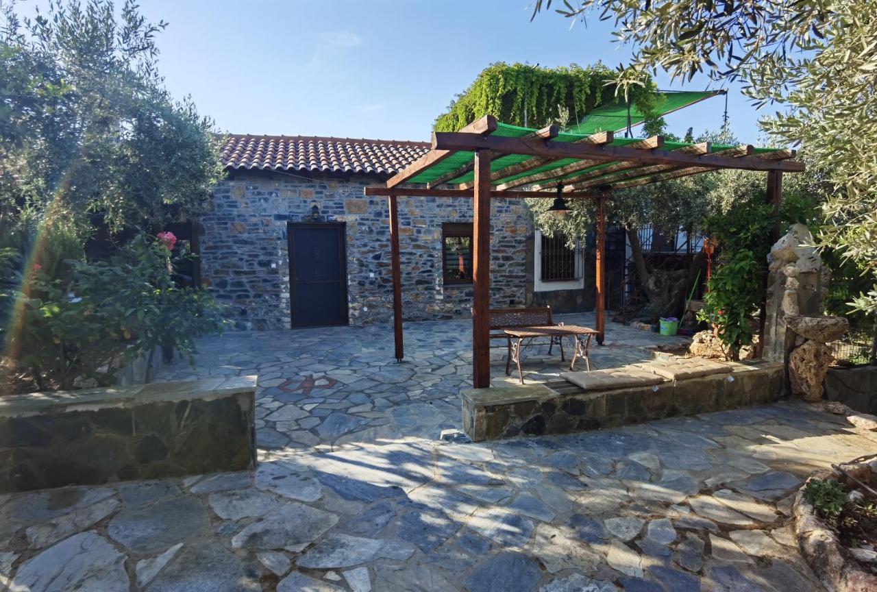 Elaion Thea-Nies Villa Sourpi Exteriör bild