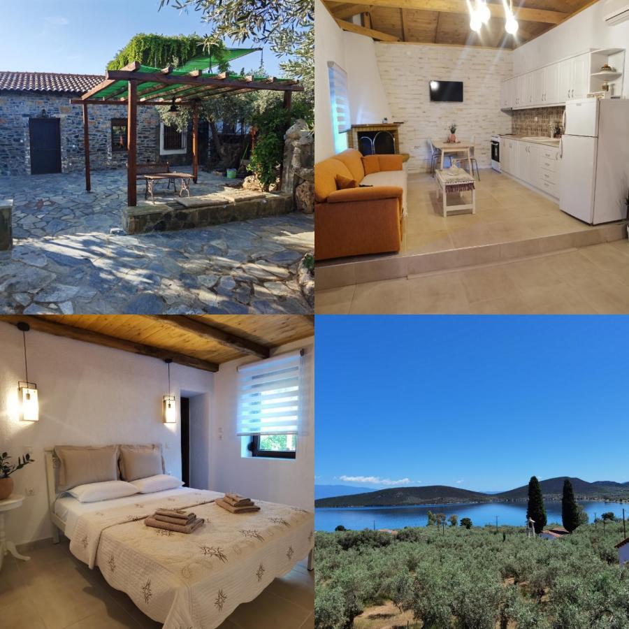 Elaion Thea-Nies Villa Sourpi Exteriör bild