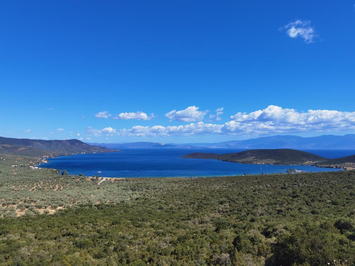 Elaion Thea-Nies Villa Sourpi Exteriör bild