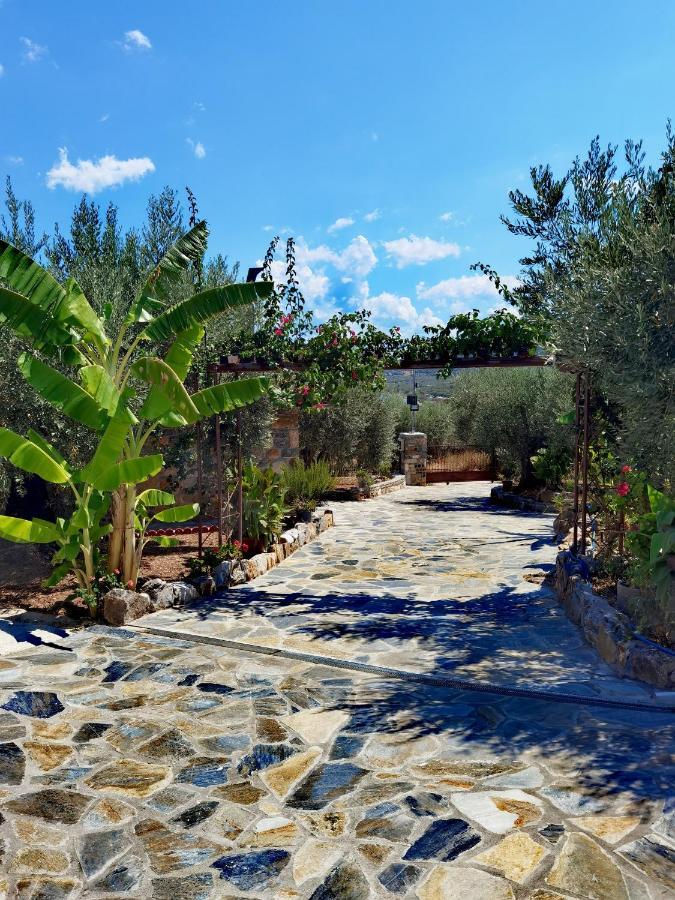 Elaion Thea-Nies Villa Sourpi Exteriör bild