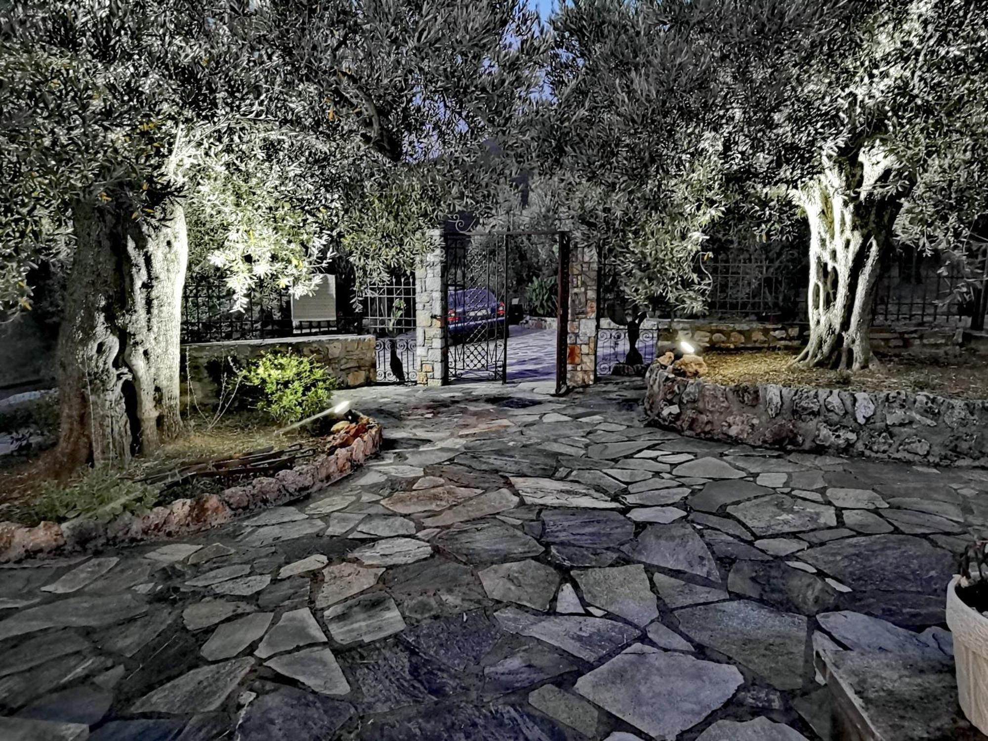 Elaion Thea-Nies Villa Sourpi Exteriör bild